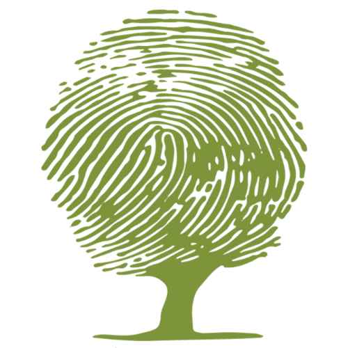 Logo Wspólnej Szkoły